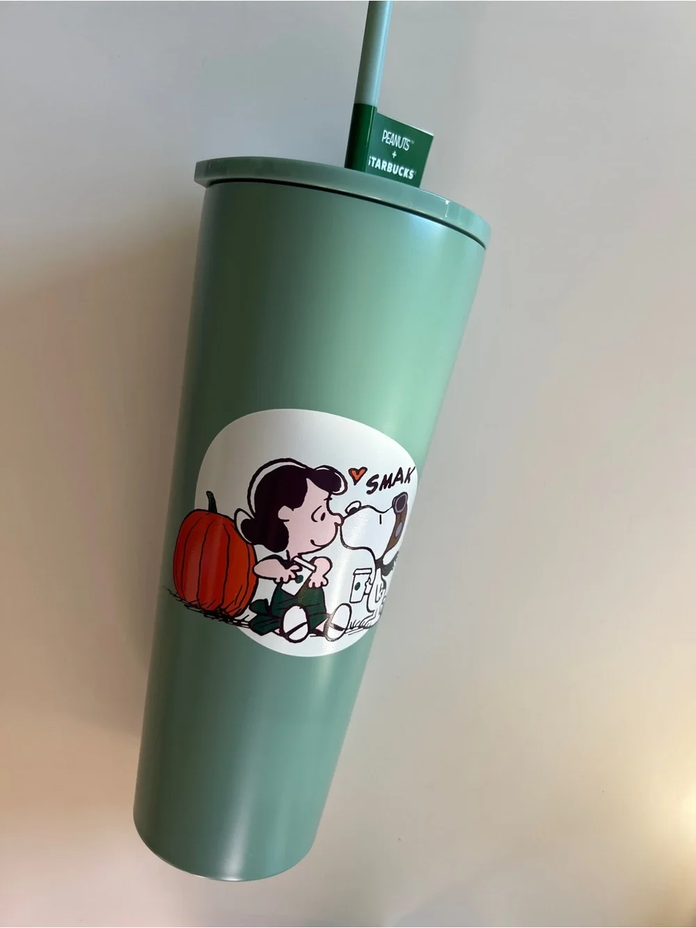 Starbucks peanuts stainless steel cold cup 2026 fall limited edition